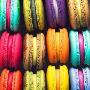 Meet your Posher, Tammy